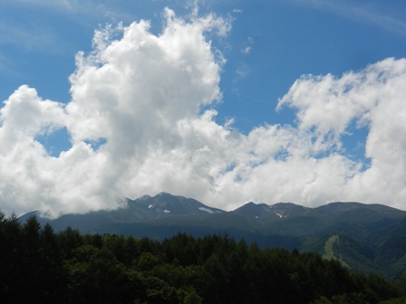 d0226767_19221668.jpg