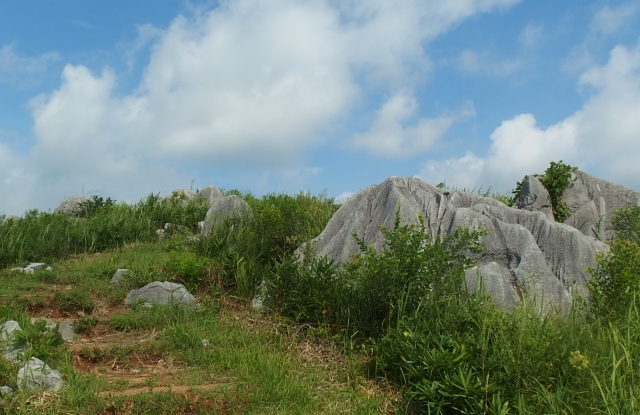 秋吉台秋の草原_d0177570_18421623.jpg