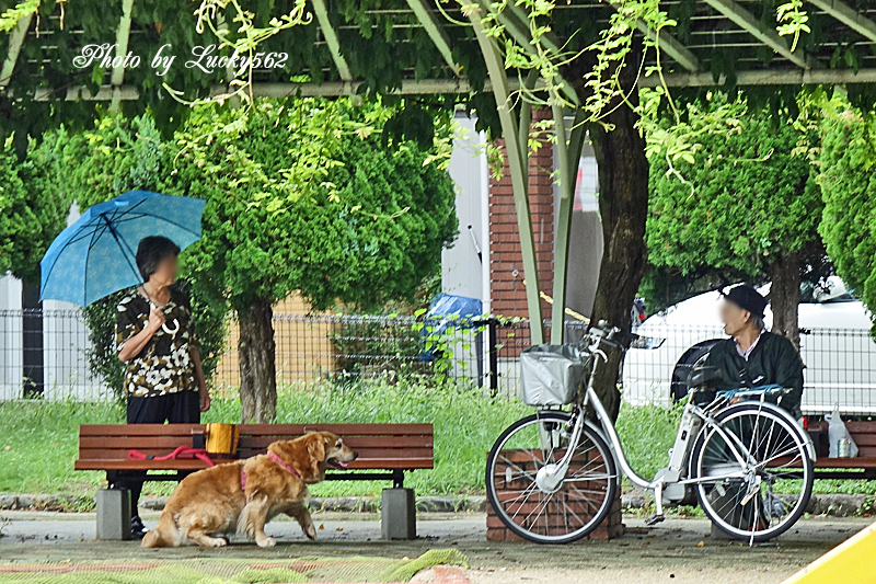 雨上がりの公園でスナップ_e0002371_11131851.jpg