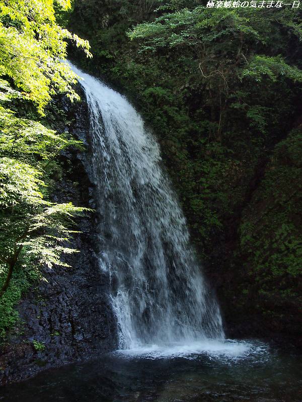 世立八滝 大仙の滝 極楽蜻蛉の気ままな一日