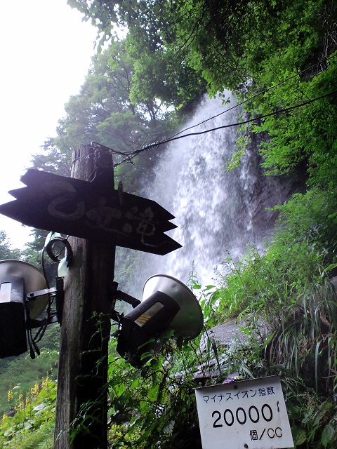 d0147774_13514761.jpg