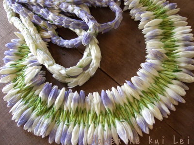 Fresh Leis☆_f0238081_16555214.jpg