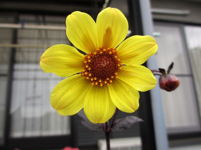 b0182884_23235241.jpg