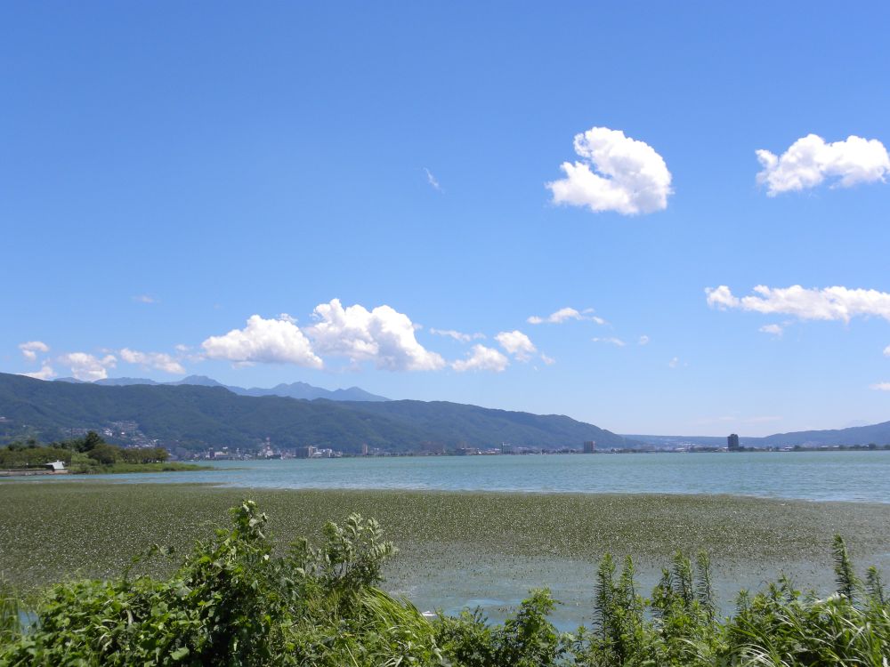 諏訪湖 二十一景 +(demand 4Picture)_b0329588_14364369.jpg