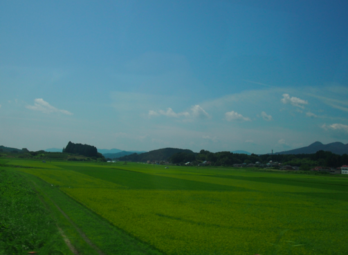 a0146493_2148284.png