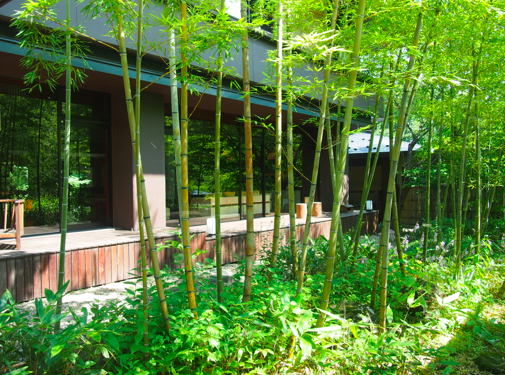 a0146493_22923.png