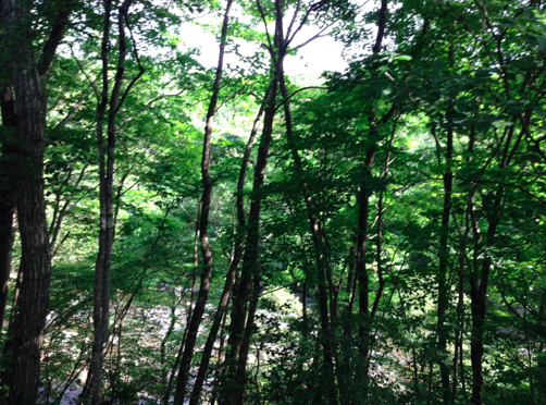 a0146493_2322382.png