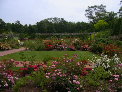 f0229399_05278.jpg