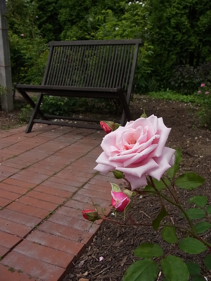 f0229399_08167.jpg