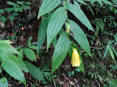 c0125501_97524.jpg