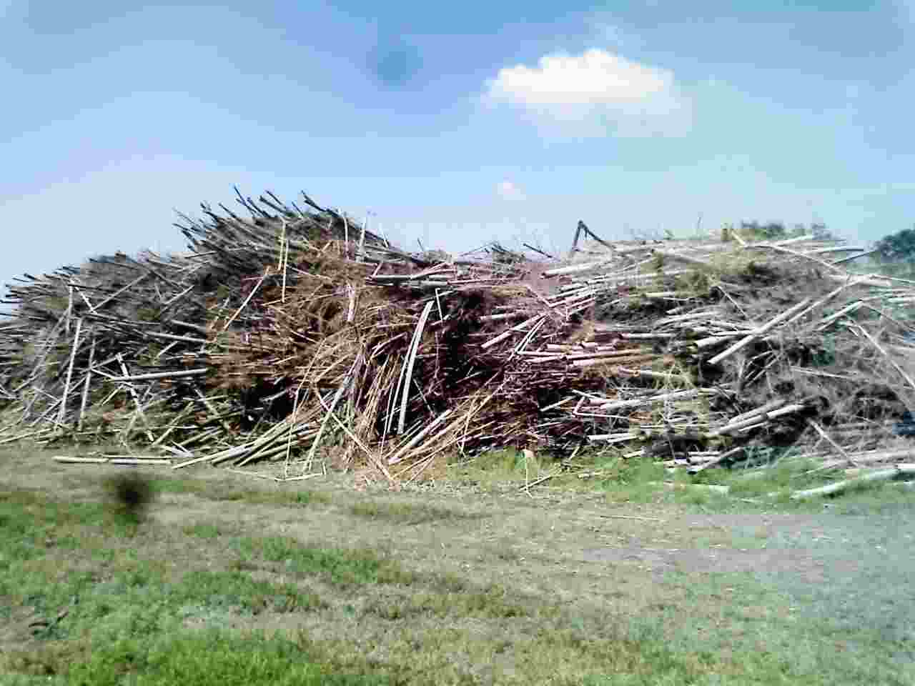 c0024502_15434330.jpg