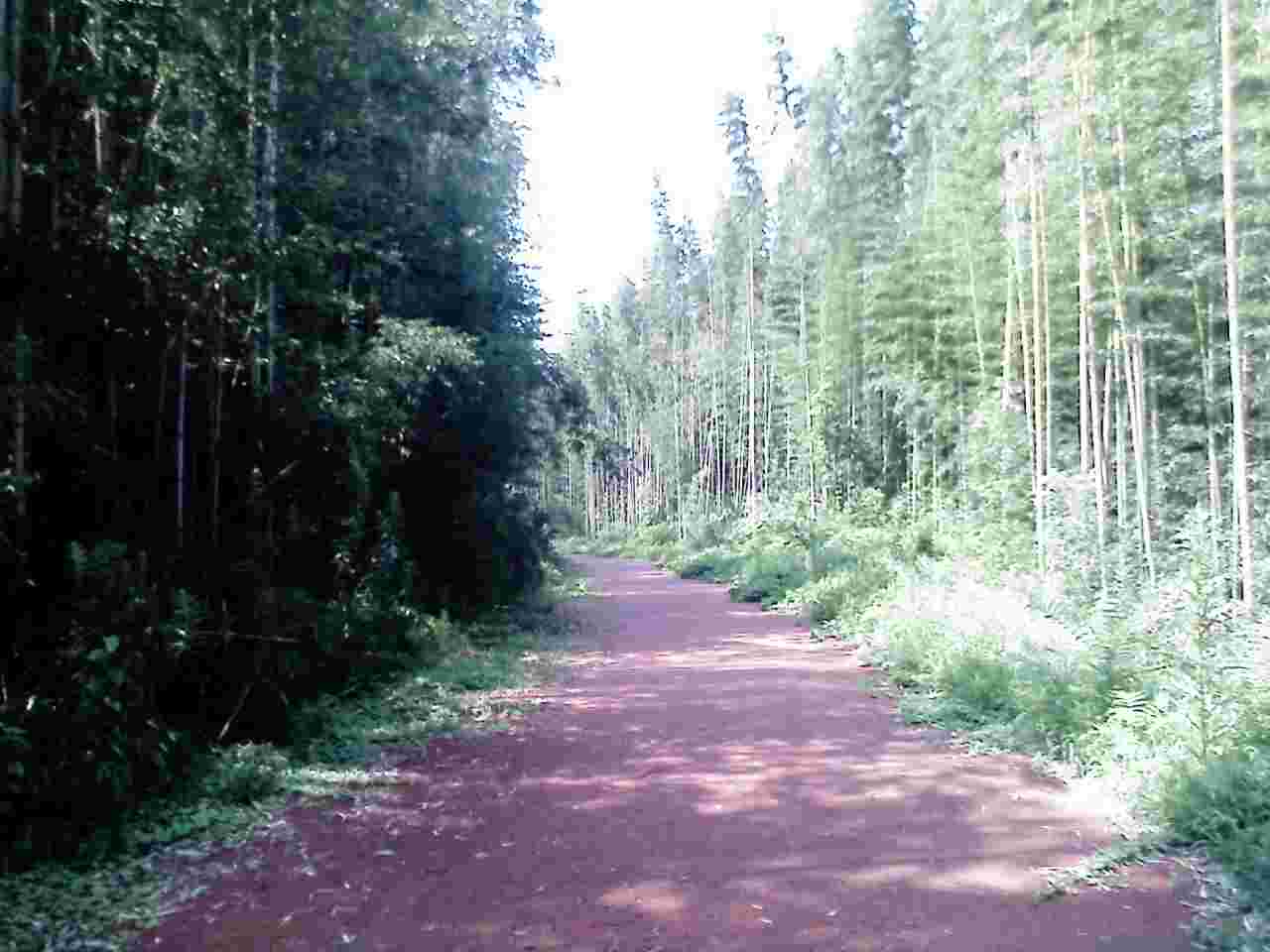 c0024502_15445925.jpg