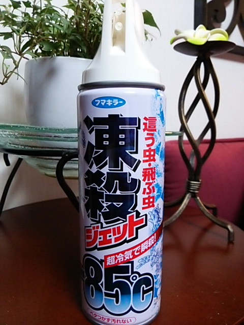 a0235209_2101737.jpg