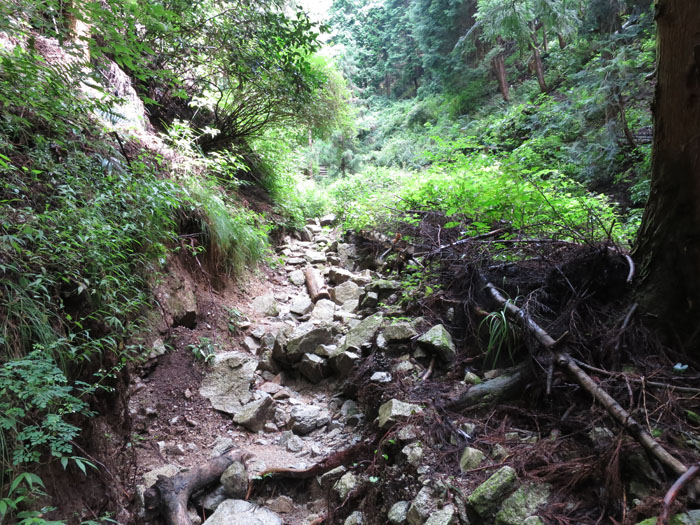 e0077010_22424879.jpg