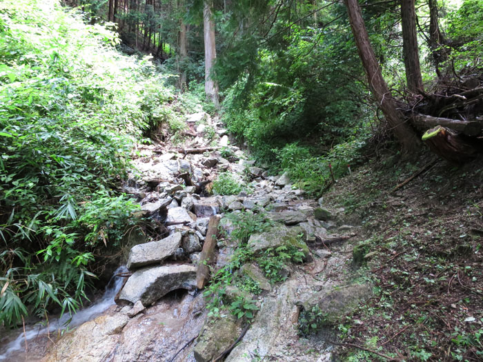 e0077010_2243591.jpg