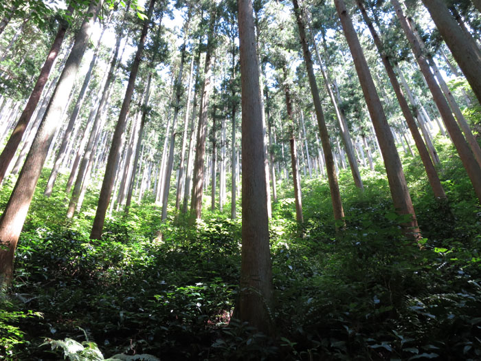 e0077010_2247925.jpg