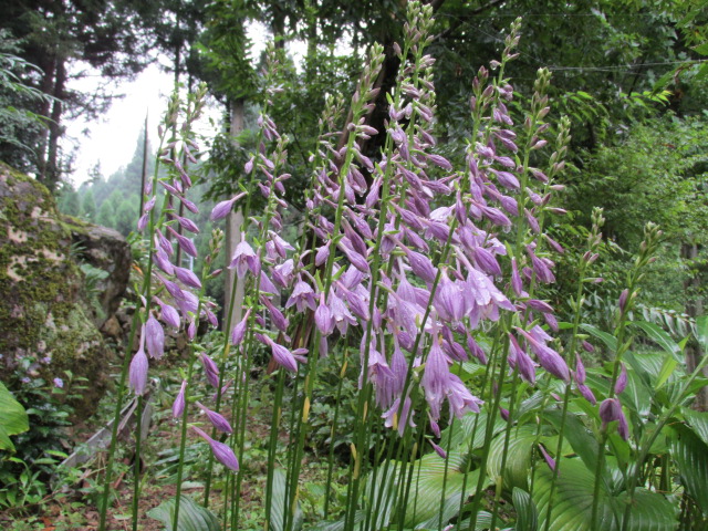f0341616_70549.jpg