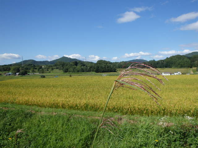 週末は旭川にて！_c0225621_7424149.jpg