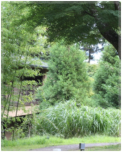 箱根　翠松園へ１泊旅行_c0141025_1443344.jpg