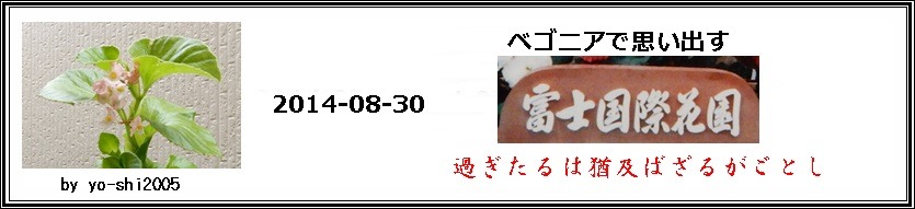 e0033229_1549917.jpg