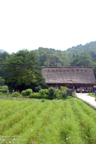 e0204334_21023437.jpg