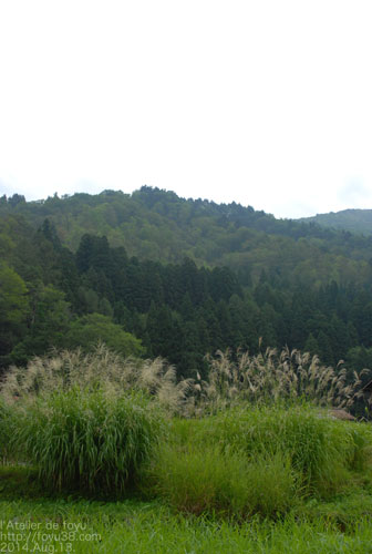 e0204334_21025806.jpg