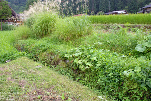 e0204334_21031500.jpg