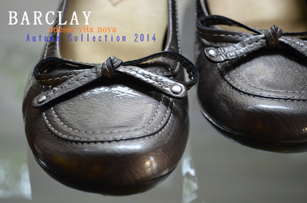  ”Brahmin～No.5～2014 A&W New～リバーシブルダウンベスト（2）”_d0153941_1852681.jpg
