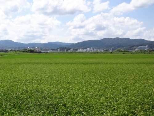 c0264343_21274191.jpg