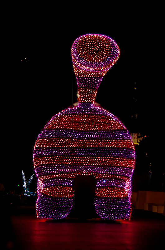 エレクトリカルパレード（東京ディズニーランド）_f0155048_23243526.jpg