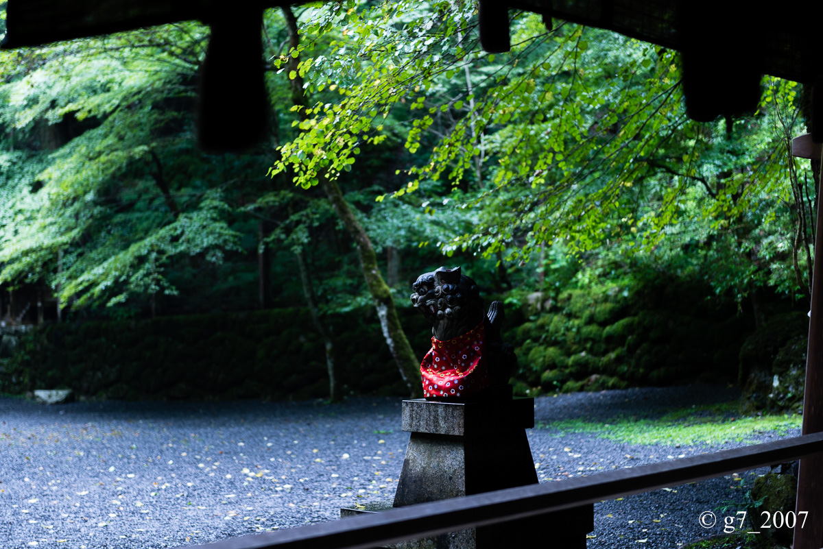 貴船神社 〜3〜_f0152550_16373220.jpg
