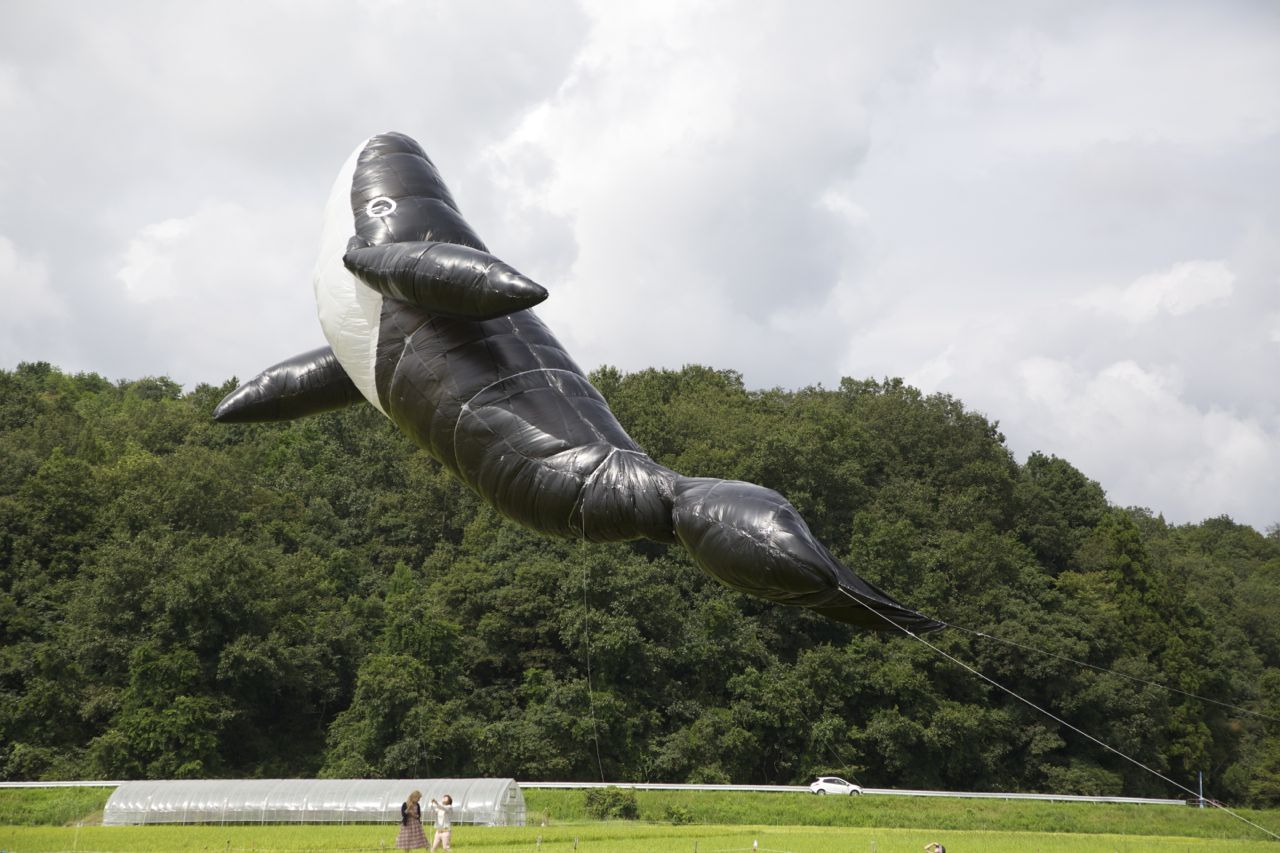 空飛ぶクジラ in広島 8月27.28日_a0121352_19960.jpg