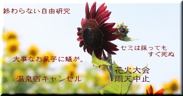 a0226853_17561557.jpg