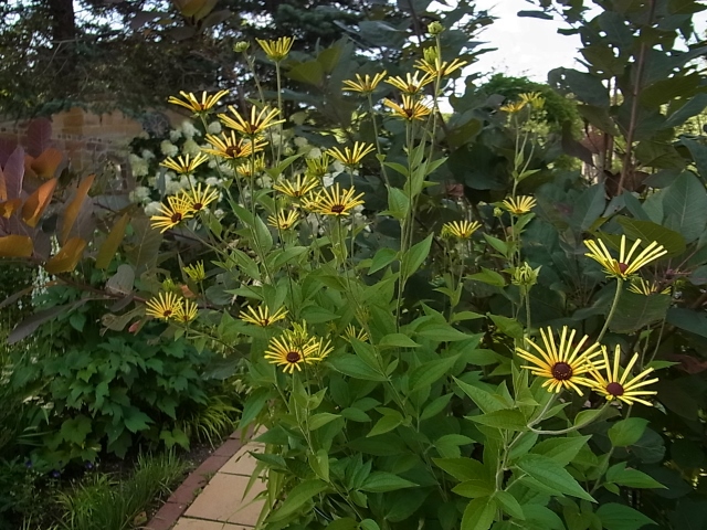 e0326953_9342020.jpg