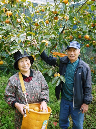 種なしかぼす 朝採り、即日発送!大好評発売中!!_a0254656_18173764.jpg