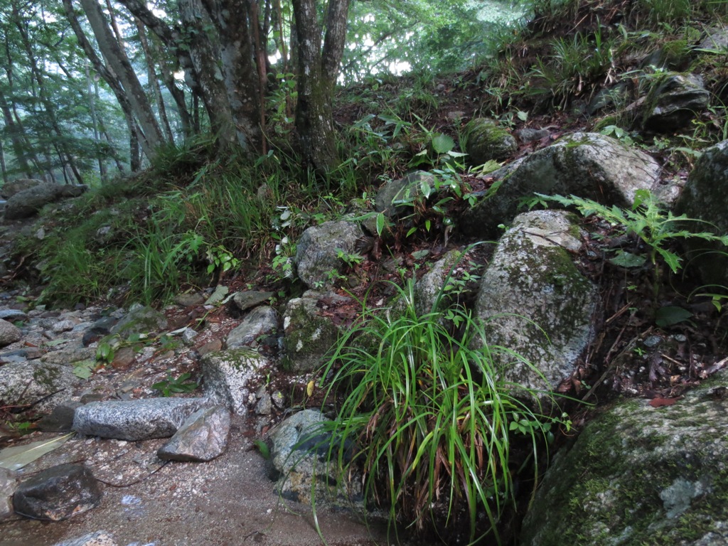 道志村の山伏オートキャンプ場_c0310571_06363602.jpg