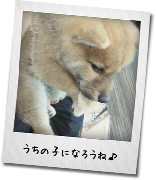 a0232774_11301187.png
