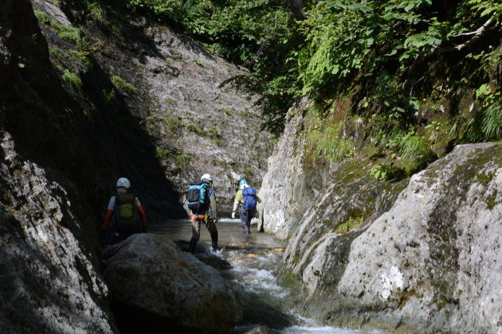 古平川水系・泥ノ木川右俣～両古美山（８０６㍍）＝２０１４年８月１６日_a0141678_15134532.jpg