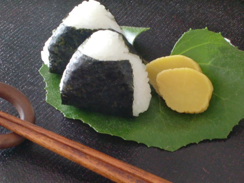 写真撮影_a0125981_20234551.jpg