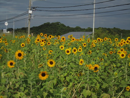 f0053885_20415911.jpg