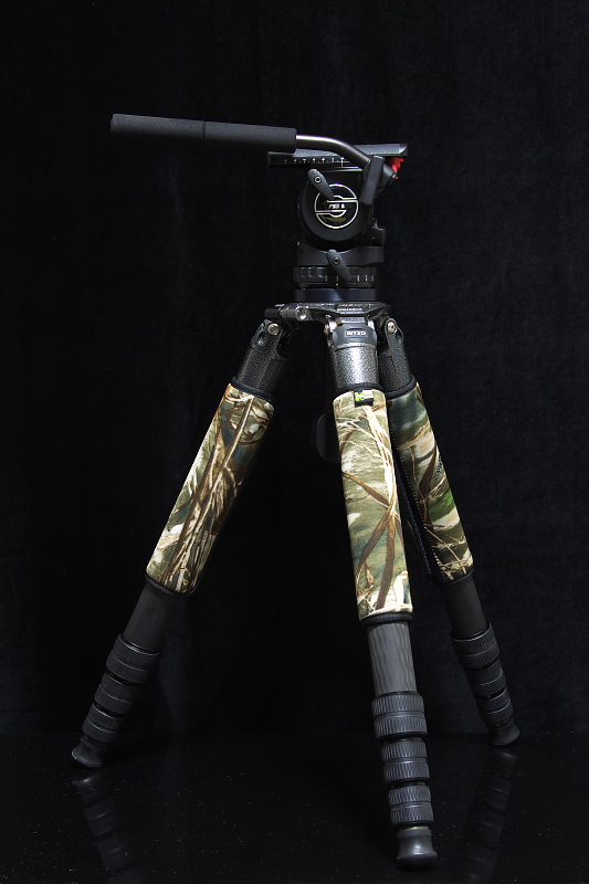 GITZO GT5542LS＋BA75-100/T5 : My Photo Life