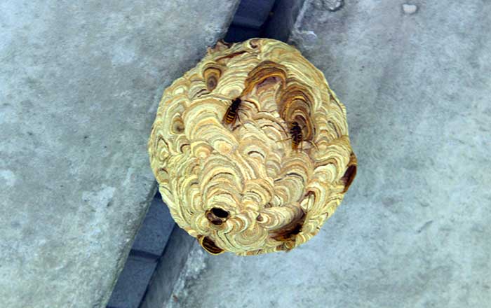 f0212586_18191752.jpg