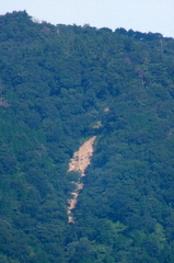 b0192588_948085.jpg