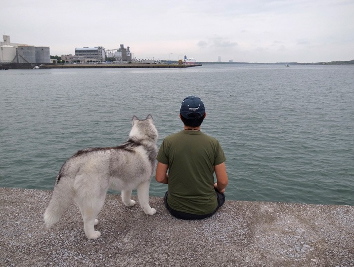 朝のおんぶから港まで(*^_^*)_c0049299_2232431.jpg