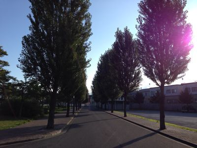 d0225402_9115562.jpg