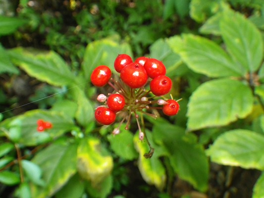 f0187402_22423432.jpg