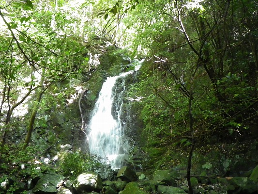 f0187402_22424431.jpg