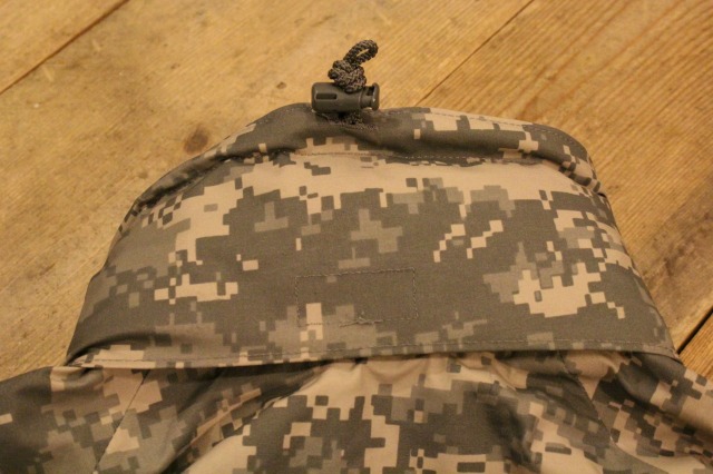 デジカモGORE-TEX_d0121303_21251231.jpg