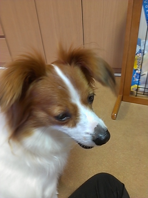 e0075904_0573359.jpg