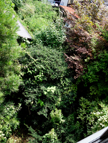 f0036005_22401869.jpg